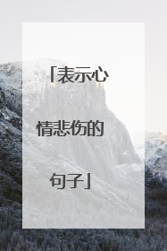 表示心情悲伤的句子