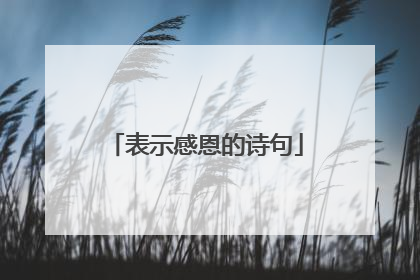 表示感恩的诗句