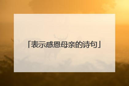 表示感恩母亲的诗句