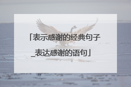 表示感谢的经典句子_表达感谢的语句
