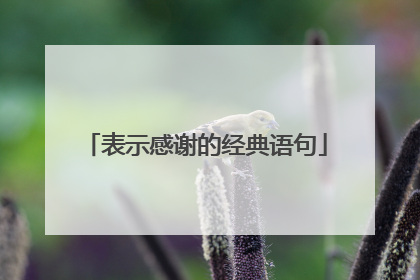 表示感谢的经典语句