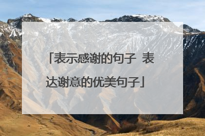 表示感谢的句子 表达谢意的优美句子
