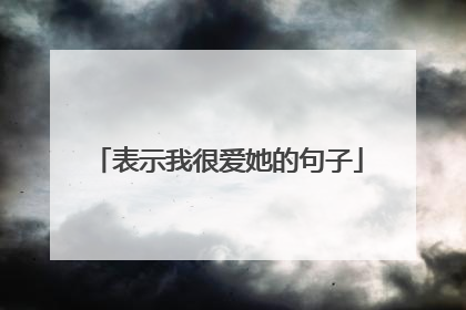 表示我很爱她的句子