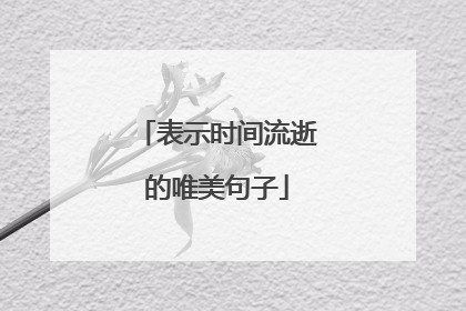表示时间流逝的唯美句子