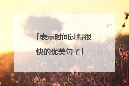 表示时间过得很快的优美句子