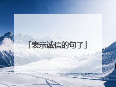 表示诚信的句子