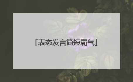 表态发言简短霸气