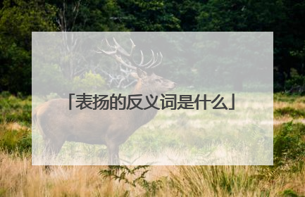 表扬的反义词是什么