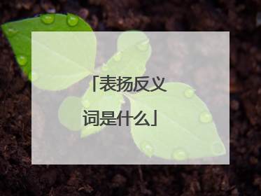 表扬反义词是什么