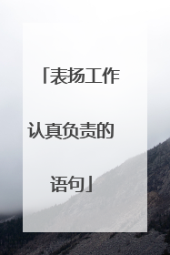 表扬工作认真负责的语句