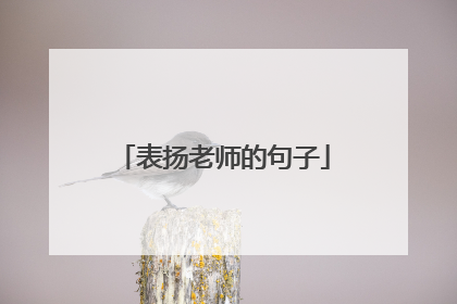 表扬老师的句子