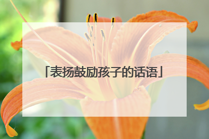 表扬鼓励孩子的话语