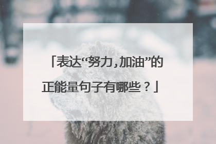 表达“努力,加油”的正能量句子有哪些？