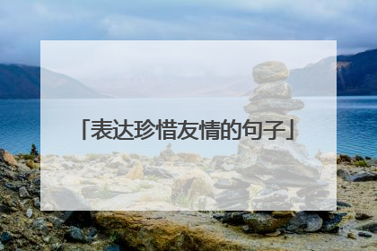 表达珍惜友情的句子