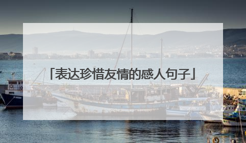 表达珍惜友情的感人句子