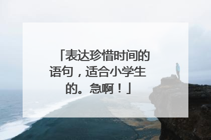 表达珍惜时间的语句,适合小学生的。急啊!