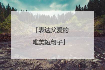 表达父爱的唯美短句子