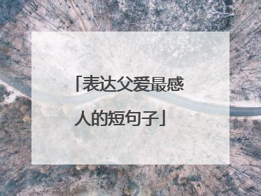 表达父爱最感人的短句子