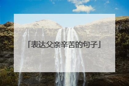 表达父亲辛苦的句子