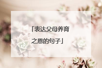 表达父母养育之恩的句子