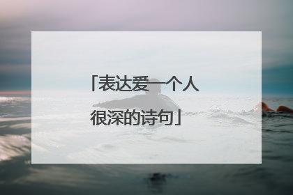 表达爱一个人很深的诗句