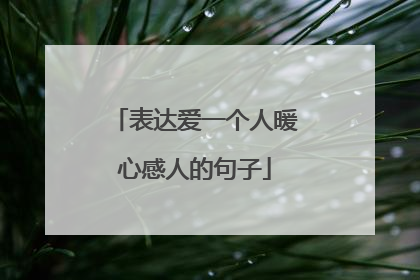 表达爱一个人暖心感人的句子