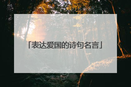 表达爱国的诗句名言