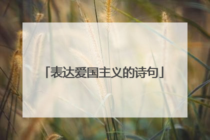 表达爱国主义的诗句