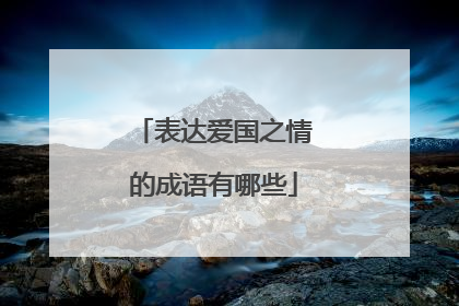 表达爱国之情的成语有哪些