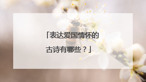 表达爱国情怀的古诗有哪些?