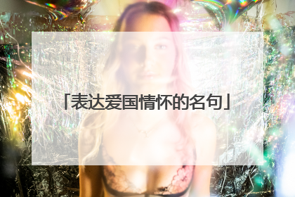 表达爱国情怀的名句