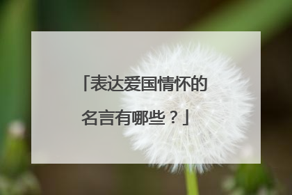 表达爱国情怀的名言有哪些？