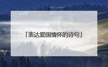表达爱国情怀的诗句