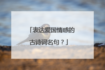 表达爱国情感的古诗词名句?