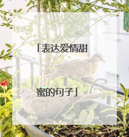 表达爱情甜蜜的句子