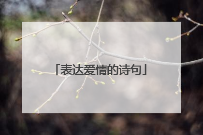 表达爱情的诗句