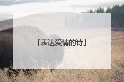 表达爱情的诗