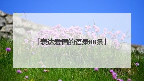 表达爱情的语录88条