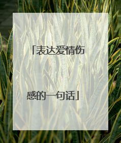 表达爱情伤感的一句话