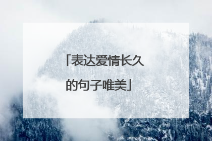 表达爱情长久的句子唯美