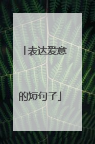 表达爱意的短句子