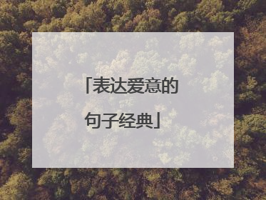 表达爱意的句子经典