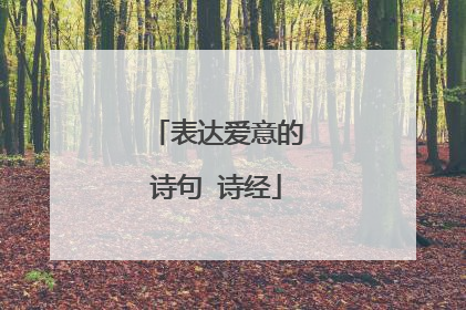 表达爱意的诗句 诗经