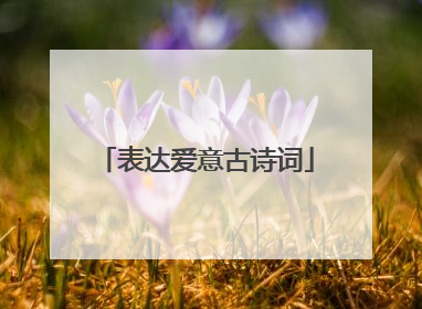 表达爱意古诗词