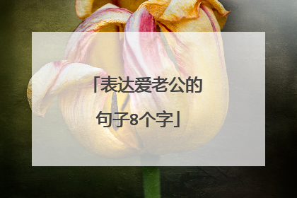 表达爱老公的句子8个字