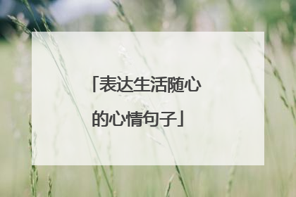 表达生活随心的心情句子