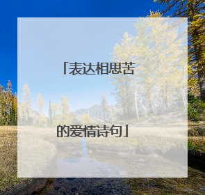 表达相思苦的爱情诗句
