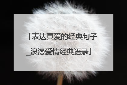 表达真爱的经典句子_浪漫爱情经典语录