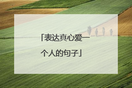 表达真心爱一个人的句子