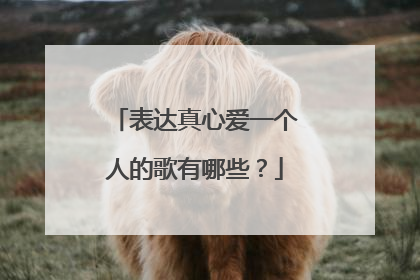 表达真心爱一个人的歌有哪些?